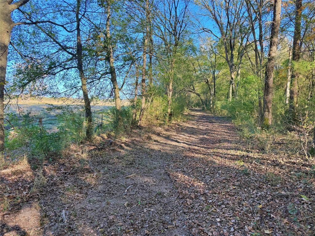 Photo of TBD Farm Road 3019, Winnsboro, TX 75494 (MLS # 21157438)