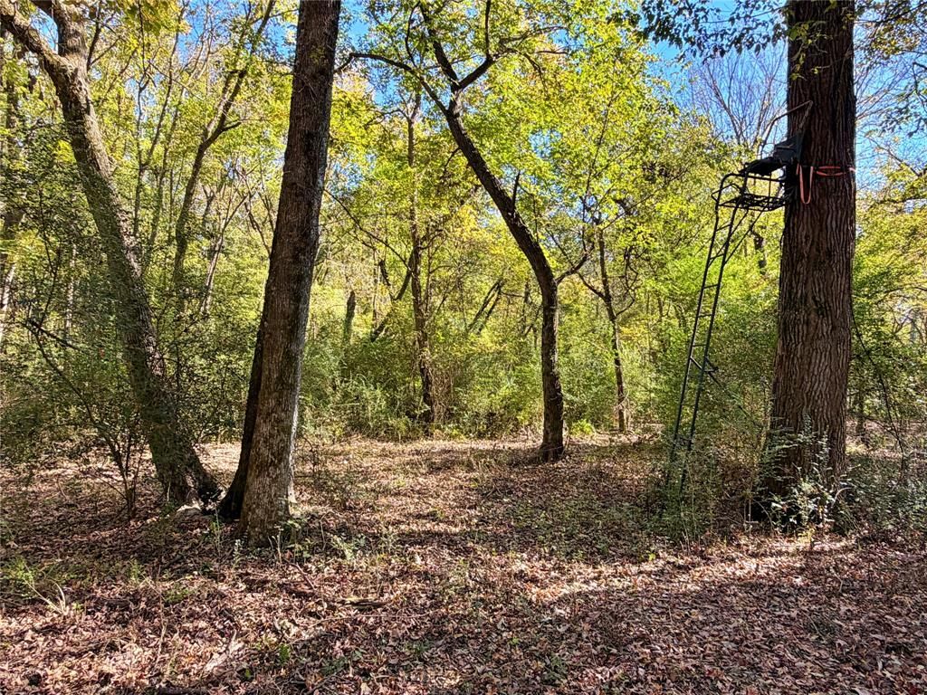 Photo of TBD Farm Road 3019, Winnsboro, TX 75494 (MLS # 21157438)