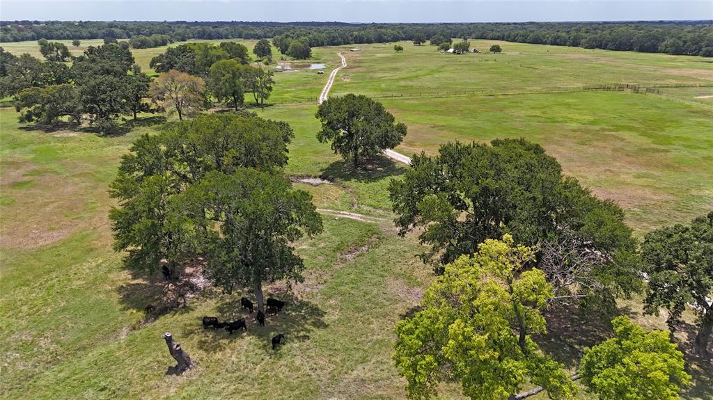 G Epperson Surv Abst #246 - Farm