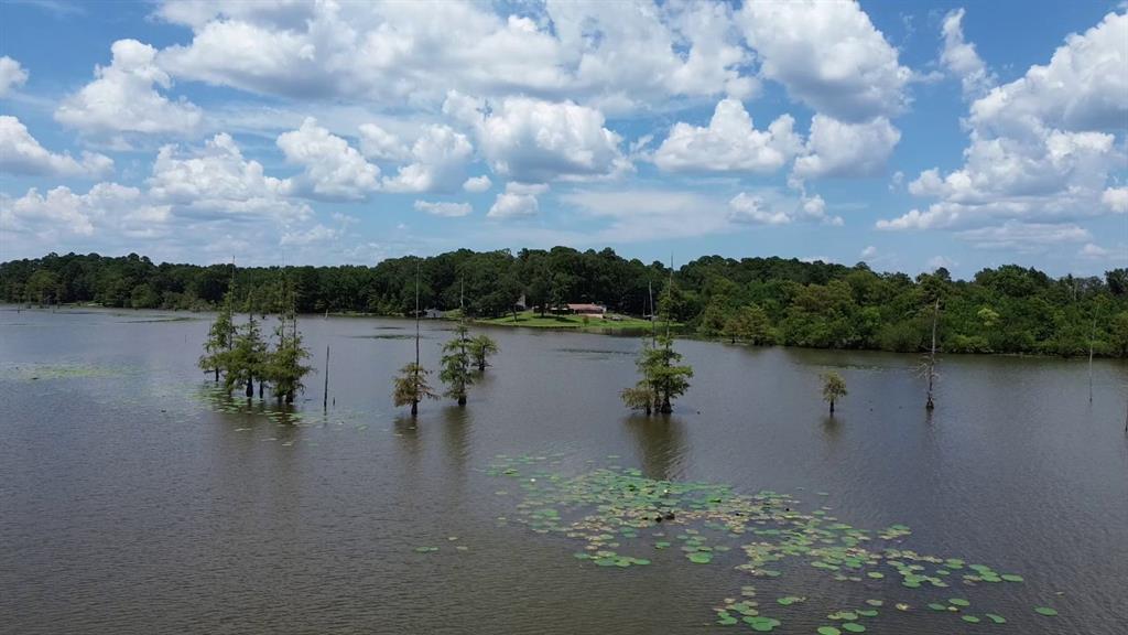 841 Dogwood Trail