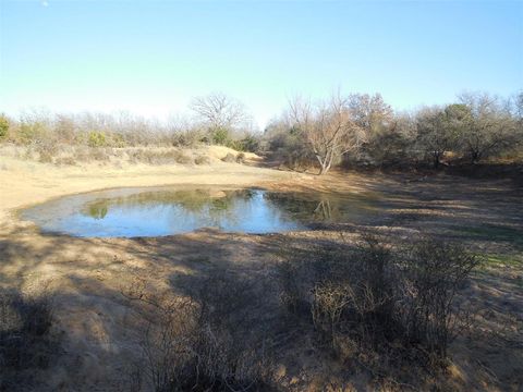 12436 County Road 134 Ranger TX 76470