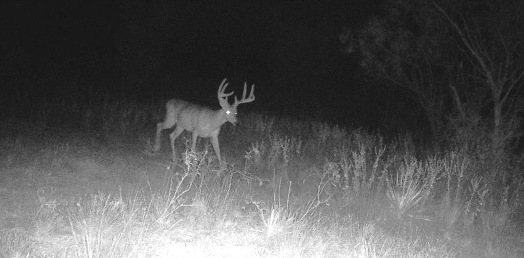 Summit View Estates - Land