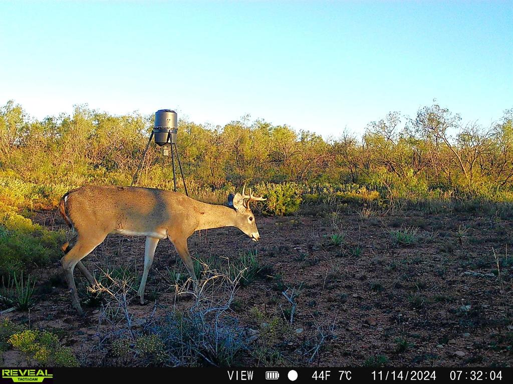 Summit View Estates - Land