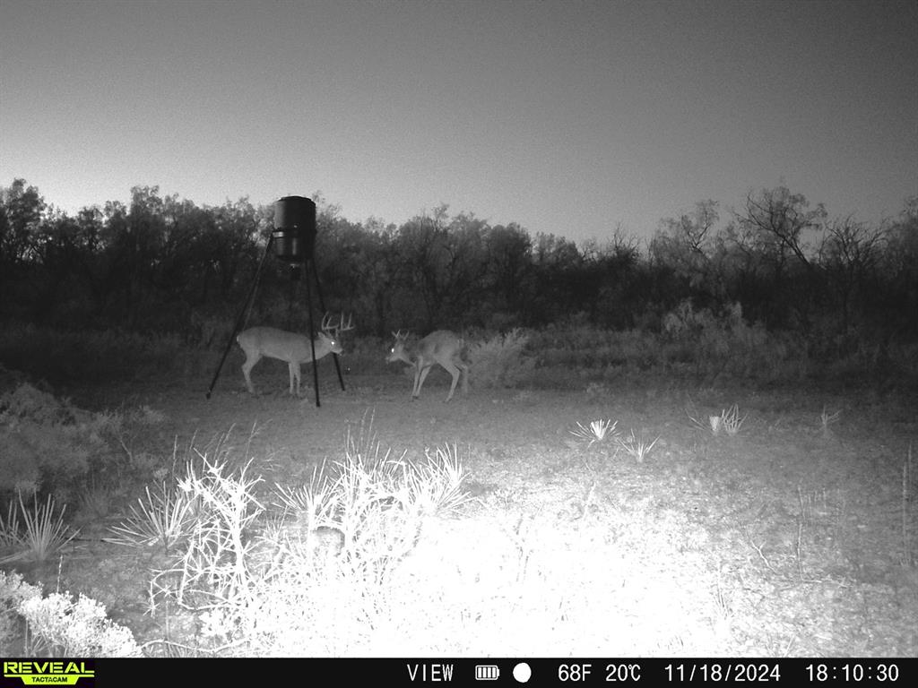 Summit View Estates - Land