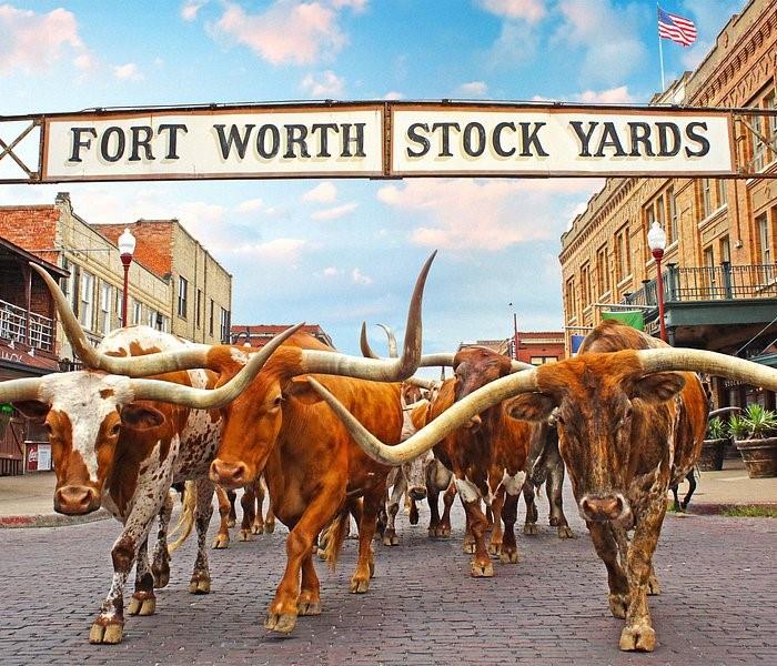 Stewart Add - Residential