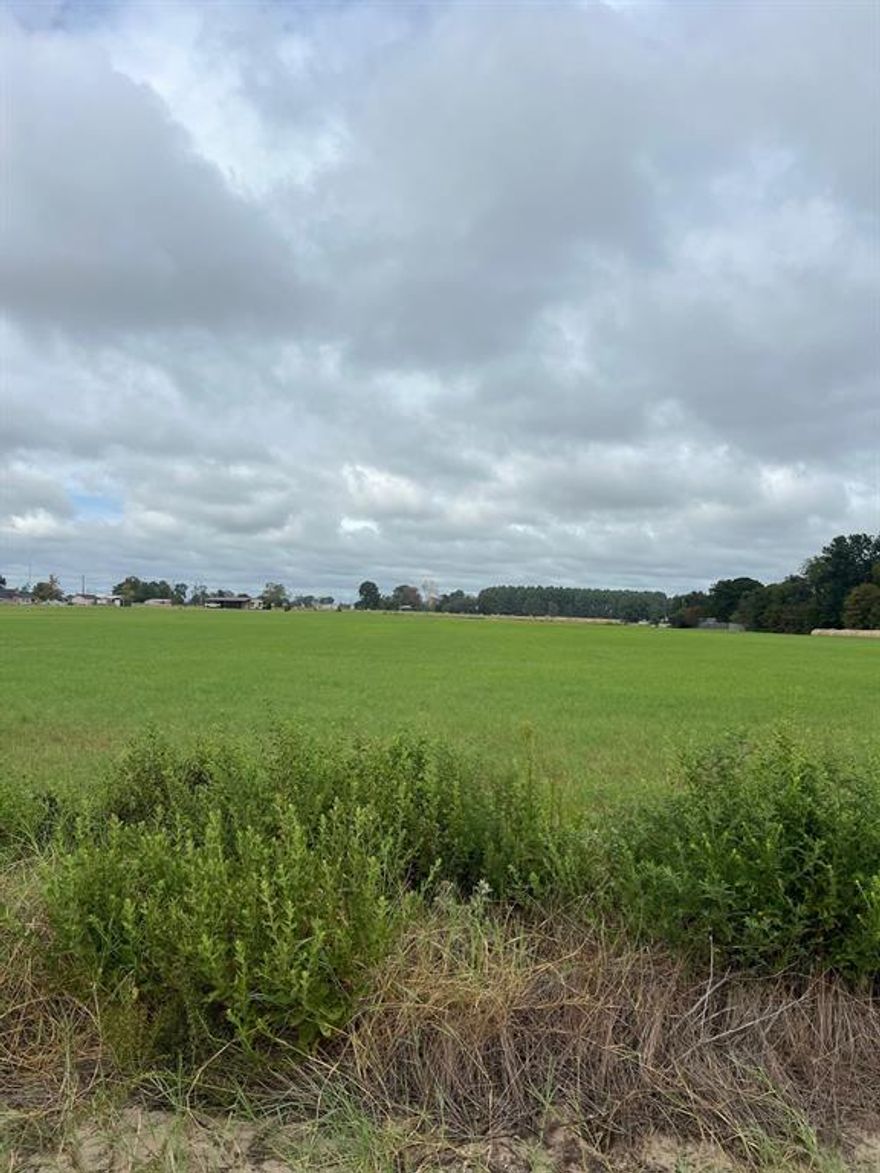 Beautiful level lot in Lindale School District! Perfect lot to build your home or homes! Located in the country but just minutes to schools and shopping! Mobile home restricted. (There is another lot that can be purchased if you need more land. See14044 CR 4122, Lindale)