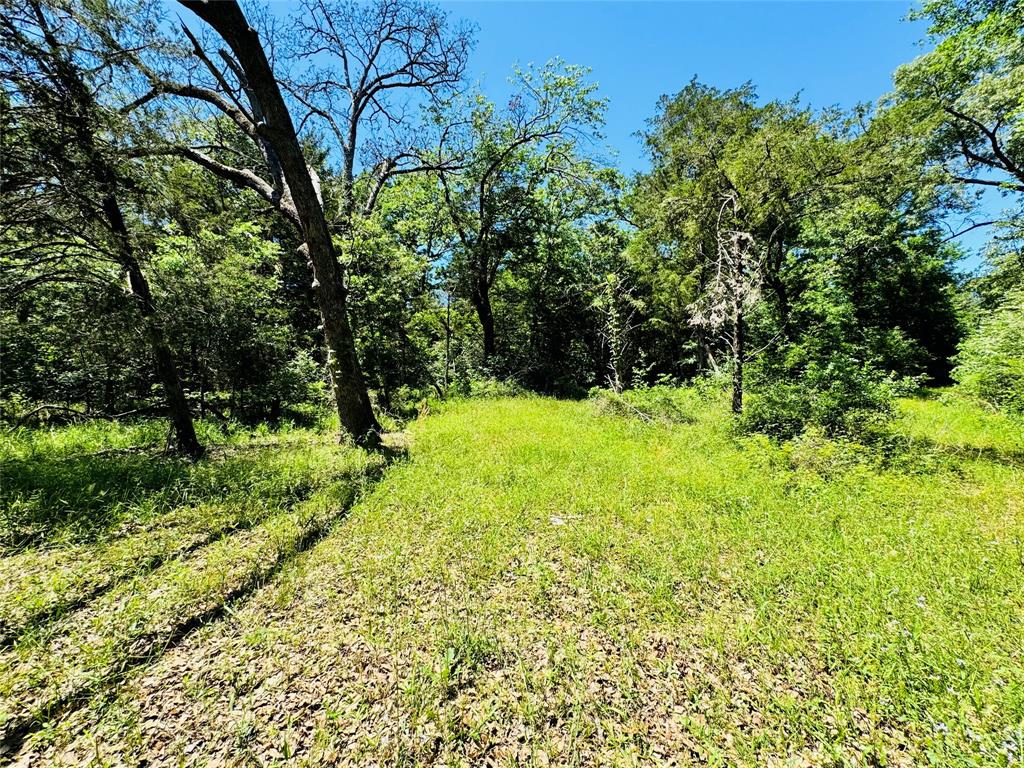 CM Walters Sur - Residential