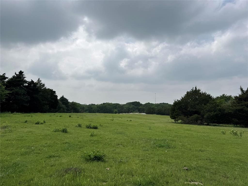 Jesse Stiff Survey - Land