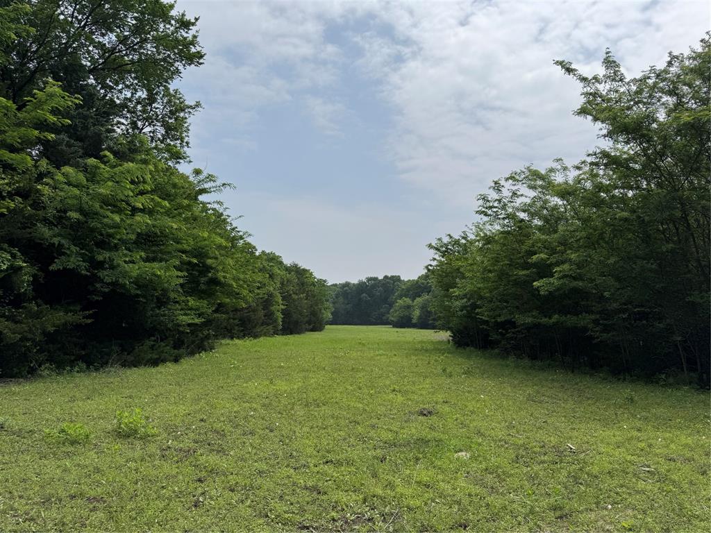 6910 County Road 1218