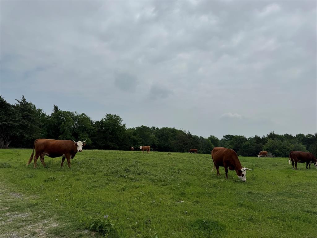 6910 County Road 1218