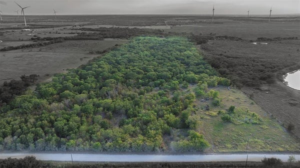 295 HCR 3240, MOUNT CALM, TX 76673 - Image 0692e19808e3475fd36f4e876e6db39f/2662734936