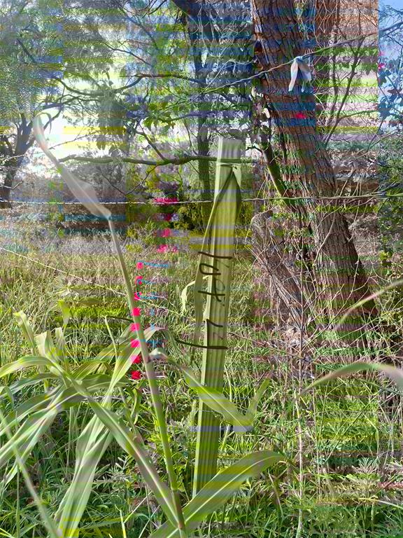 Lot4 Rock Creek Road