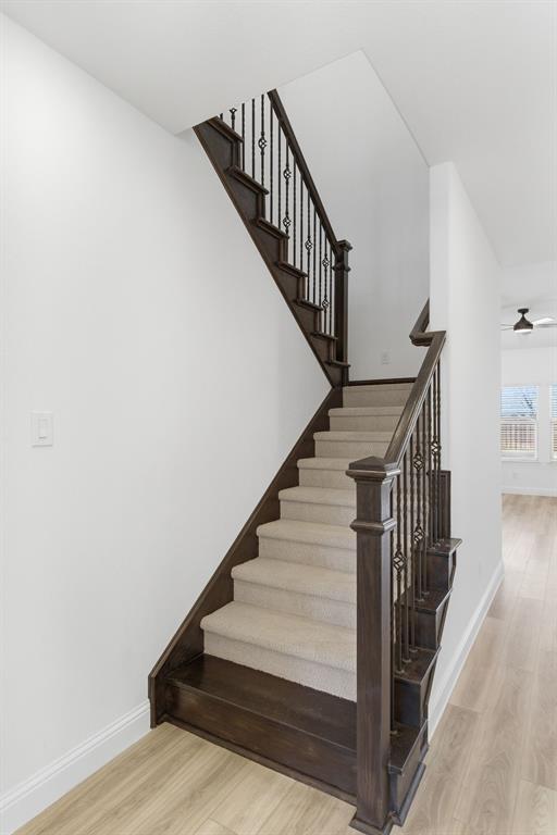 ASHFORD PARK - Residential