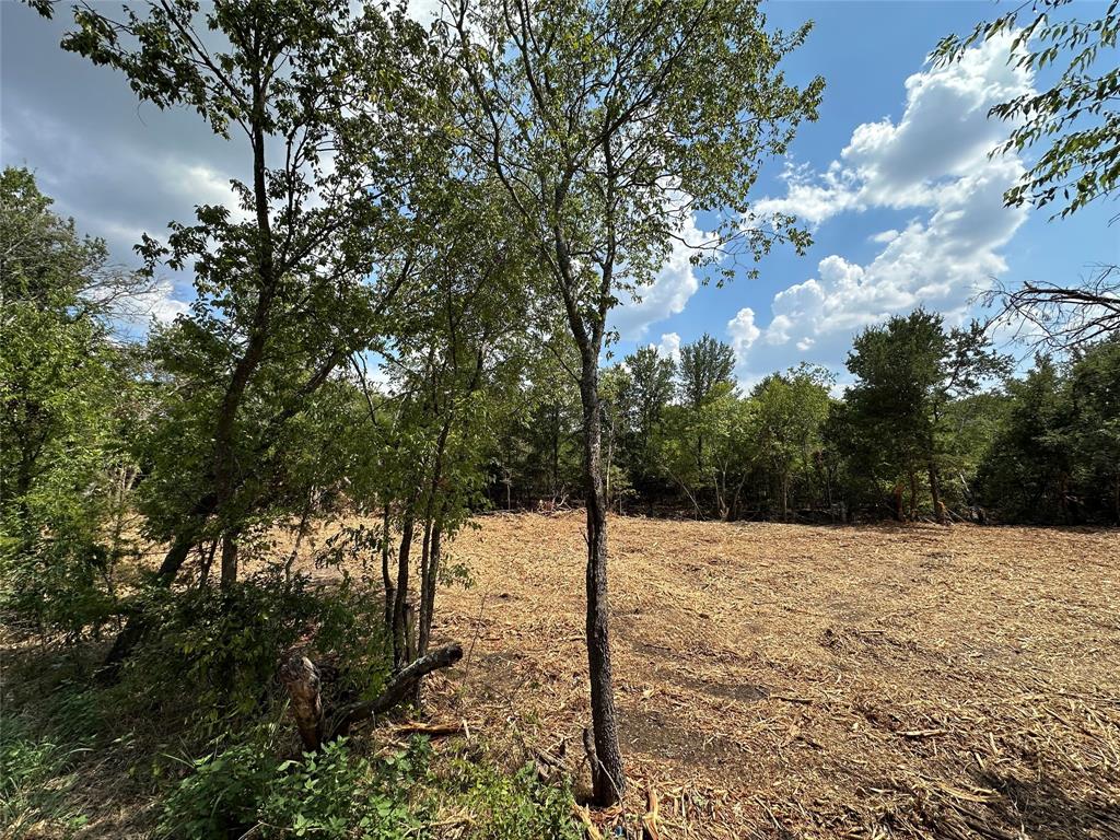 Winnie Martin A1093 Tract M190 - Land