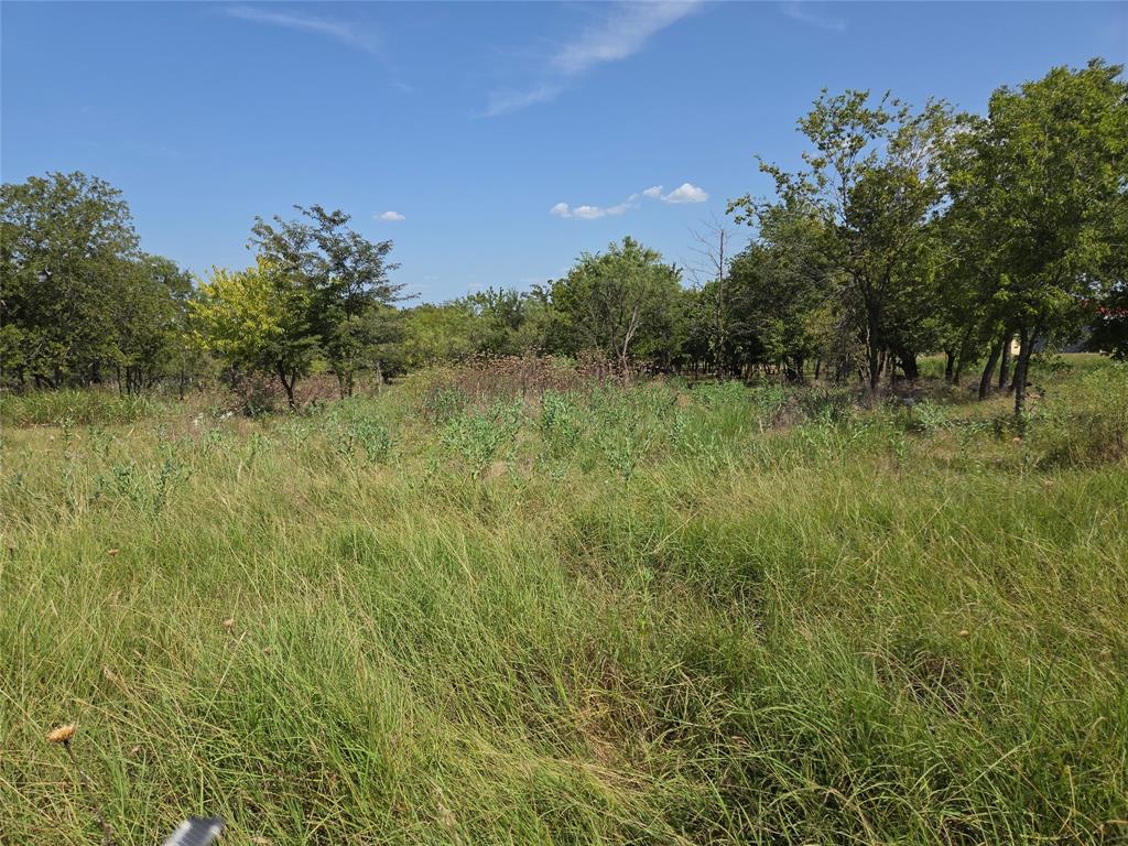 Lot 5-R4 SW County Road