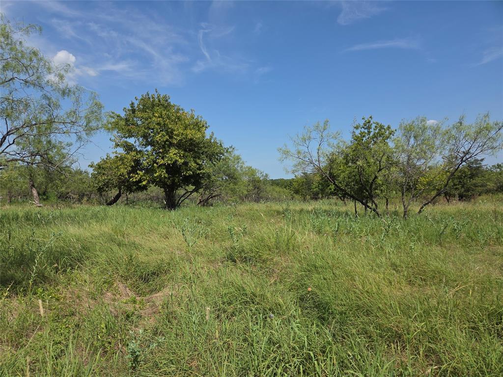 Lot 5-R4 SW County Road