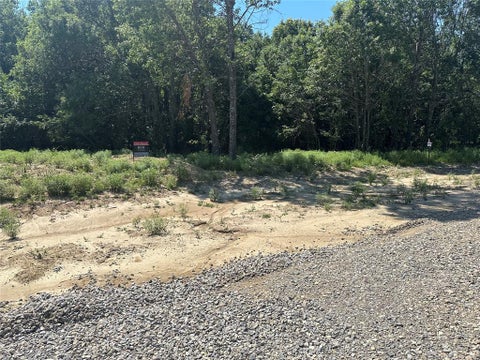 Photo of Lot 12 County Road 1110, Farmersville, TX 75442 (MLS # 21399010)