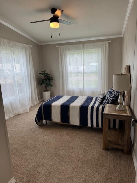 Horseshoe Bend Air Park - Residential