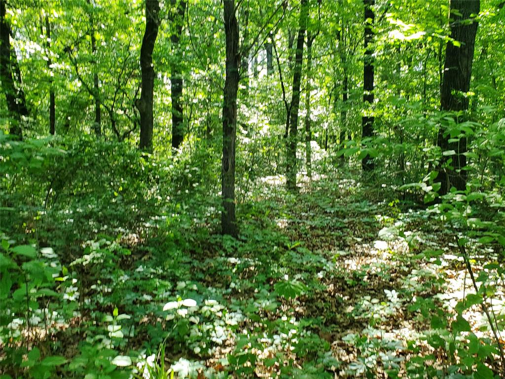 Minor L Helm Addn, Lot 5, Acres 4.635 - Residential