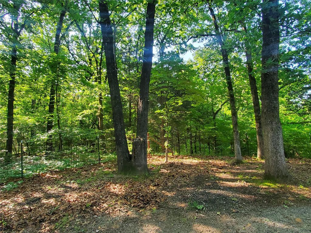 Minor L Helm Addn, Lot 5, Acres 4.635 - Residential