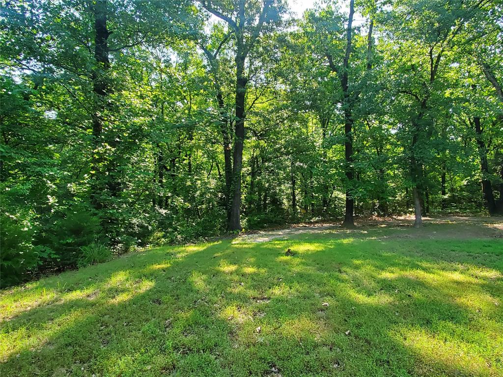 Minor L Helm Addn, Lot 5, Acres 4.635 - Residential