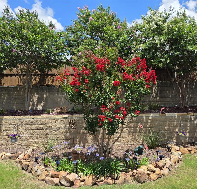 Carter Ranch-Phase III The - Residential