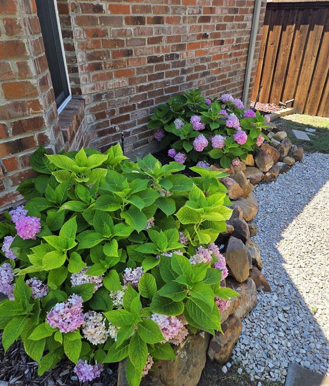 Carter Ranch-Phase III The - Residential