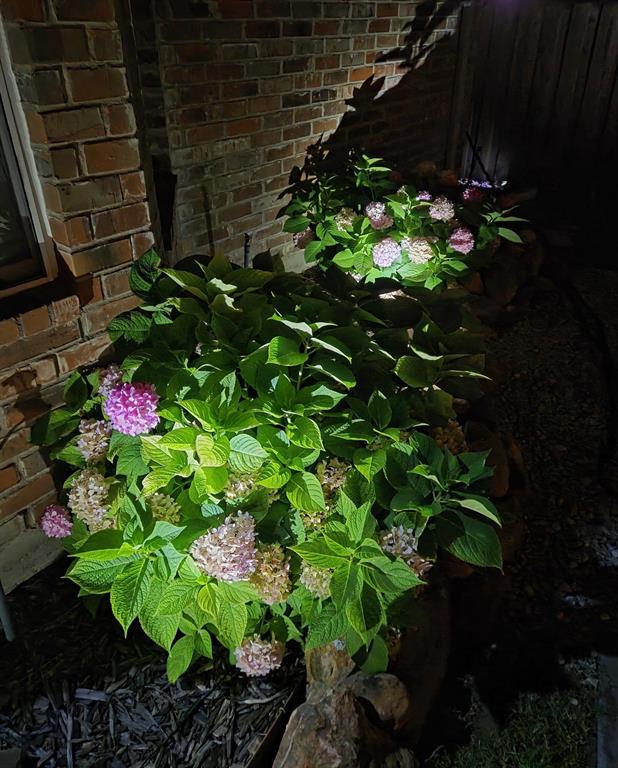 Carter Ranch-Phase III The - Residential