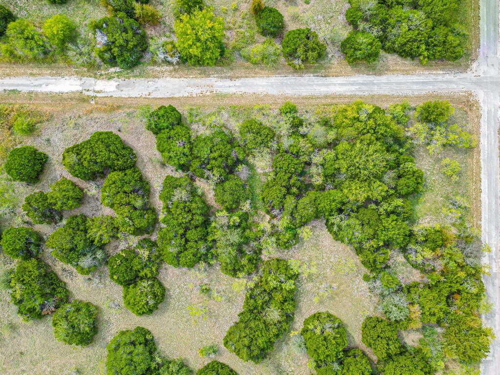 Photo 4 of 19 of 40050 Elmwood Drive land