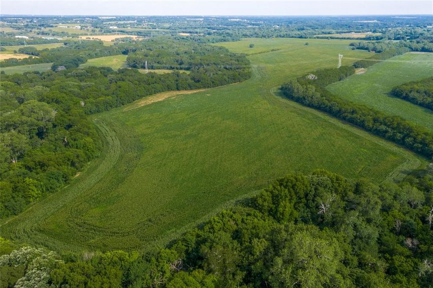 You've hit the jackpot with this rare, highly sought-after, and amazingly valued investment opportunity that's simply too good to miss! Ideally set in the prime growing area west of Anna, this lot has a full 204-acres of well-maintained, ag-exempt property ready to meet your needs. As a bonus, there are no known restrictions and electricity is available. The property contains floodplain and we estimate that there is approximately 90 useable acres. Dotted by trees and scrub brush, the parcel is located by the banks of Hurricane Creek. But why just read about it when you can experience it all for yourself? Come take a tour today or contact our office for a QR code that takes you on a virtual visit! Let your imagination run wild with the exciting possibilities awaiting you!