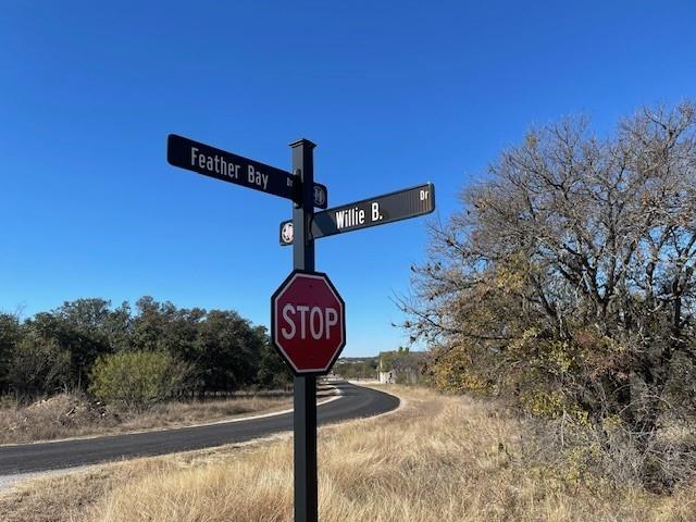 TBD Willie B Drive Willie B Drive