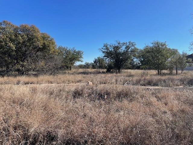 TBD Willie B Drive Willie B Drive