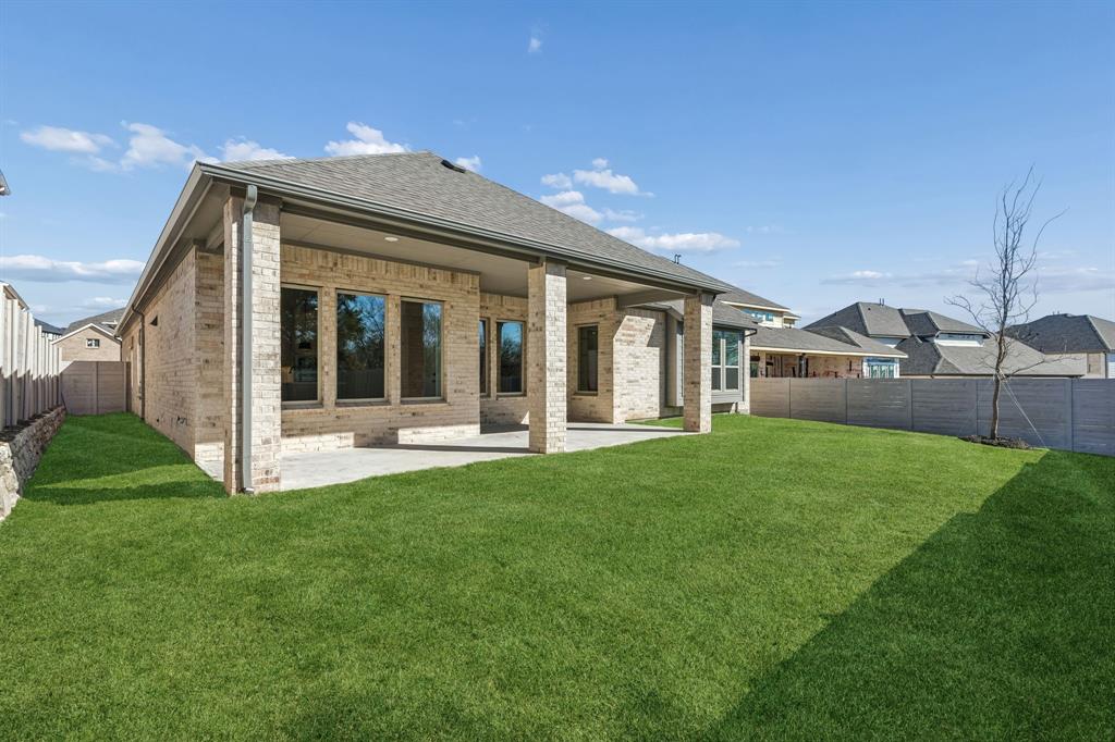 Painted Tree - Residential