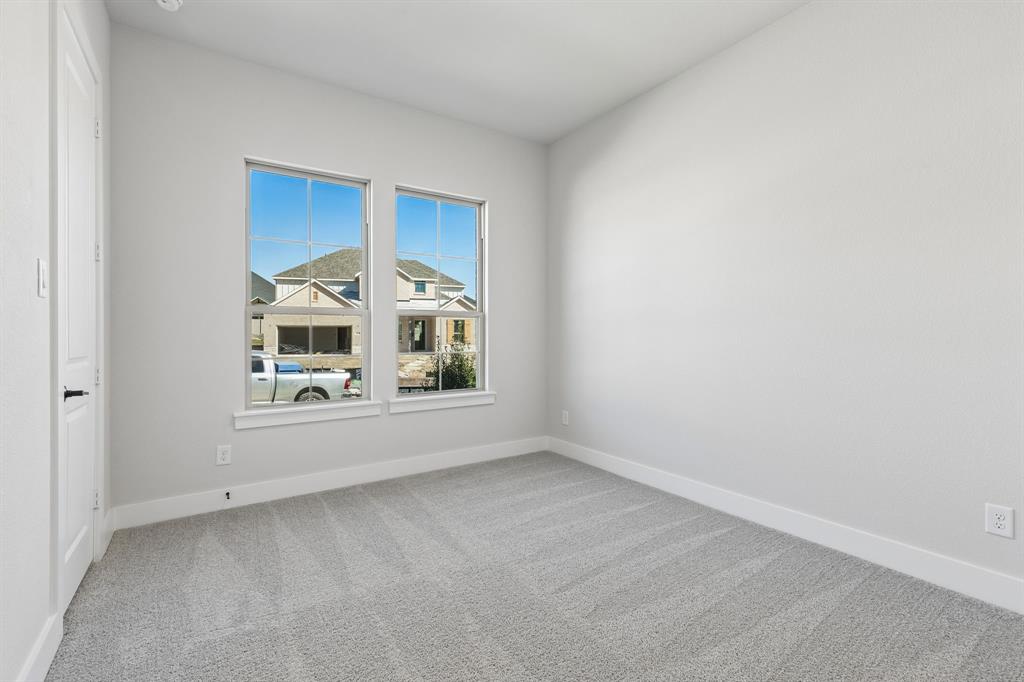 Painted Tree - Residential