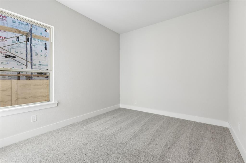 Painted Tree - Residential