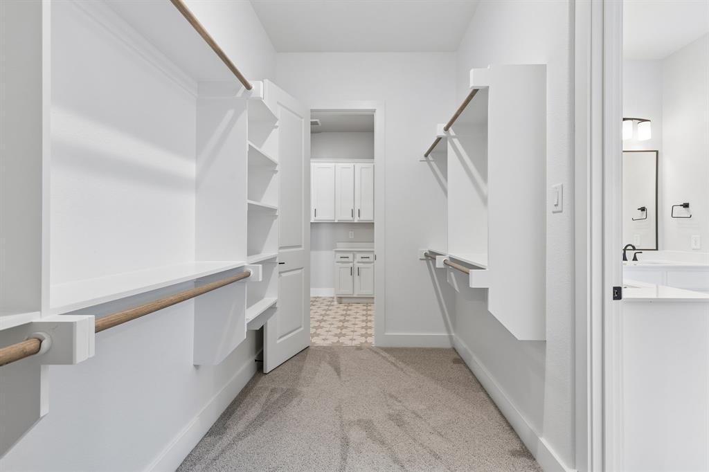 Painted Tree - Residential