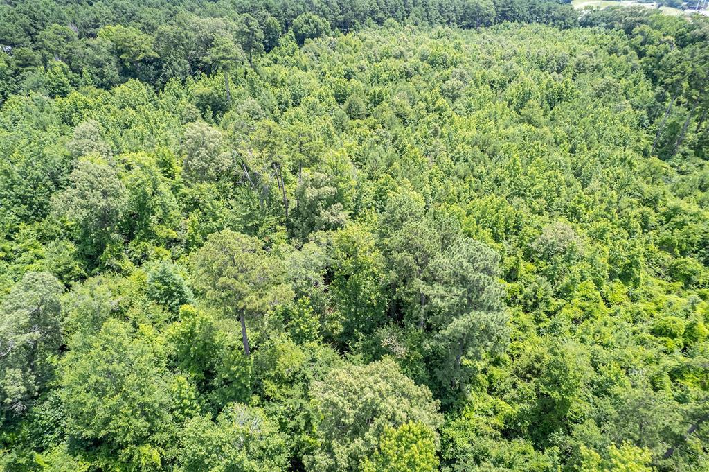 ABST A0857 M SEWELL - Land