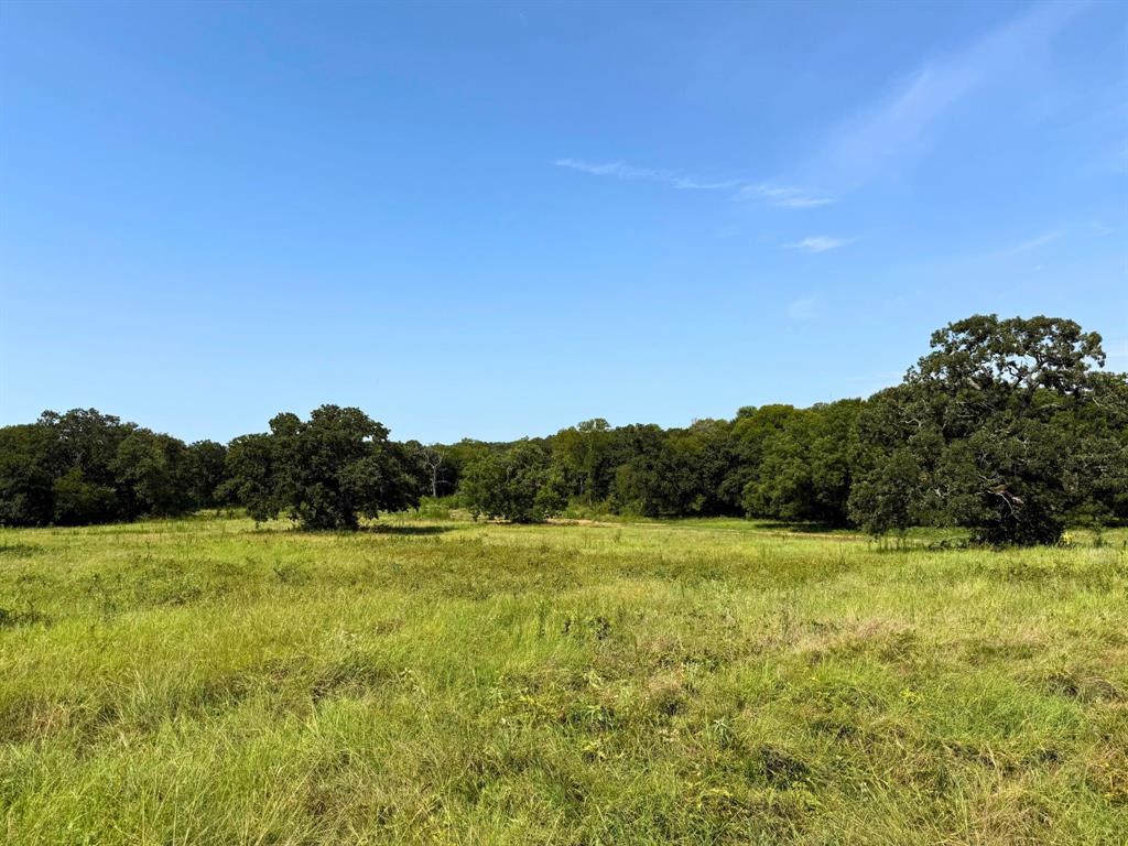 3634 County Road 401b