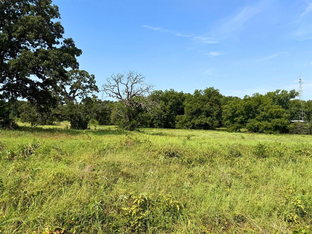 3634 County Road 401b