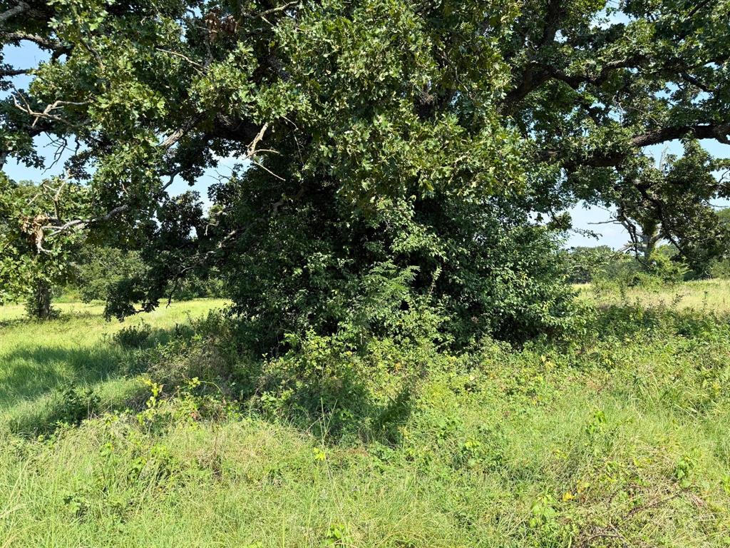 3634 County Road 401b