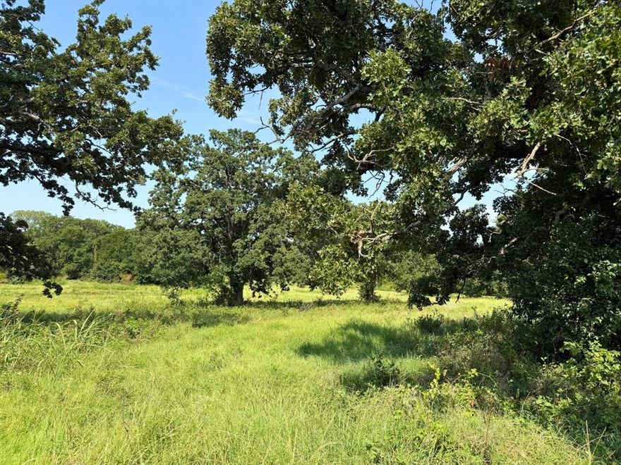 Secluded 10-acre tract located at 3634 County Road 401B in Alvarado, TX. This property offers a peaceful setting outside the city limits, featuring an abundance of mature trees, a creek running through the land, and a stock pond. With multiple potential build sites, this property provides an excellent opportunity to create a private homestead or weekend retreat. A gas pipeline runs through a portion of the property. If you're looking for a quiet piece of land with natural beauty and room to build come take a look!