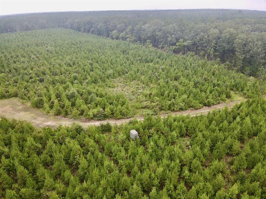 32.86 acre hunting, recreation, and investment tract located in Historic Red River County just NW on Clarksville, TX. Just 1.5 hours NE of DFW, this parcel offers ample county road frontage, a 5 year old planted pine plantation, deep sandy soils and plenty of hunting opportunities. Rich with deer, hogs, and other small game. With Red River County being the Eastern Wild Turkey Capitol of Texas, there are a good number of birds in the imediate area providing the chance to bag that Spring Gobbler. With easy access and  just a short drive from Clarksville Country Club, buy, hold, recreate and allow the Pine plantation to build you wealth!