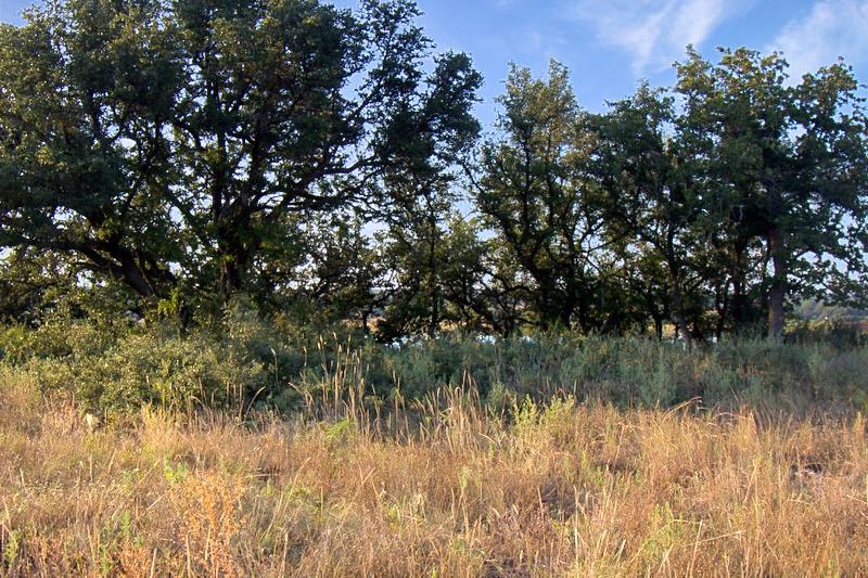 Kings Point Cove - Land