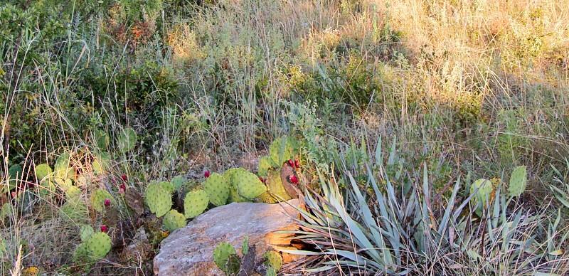 Kings Point Cove - Land