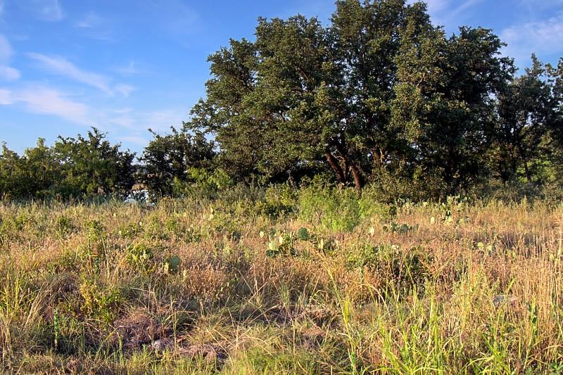 Kings Point Cove - Land