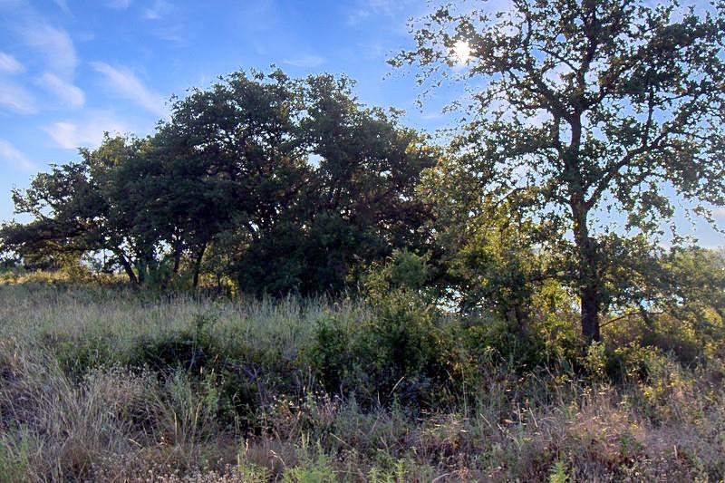 Kings Point Cove - Land