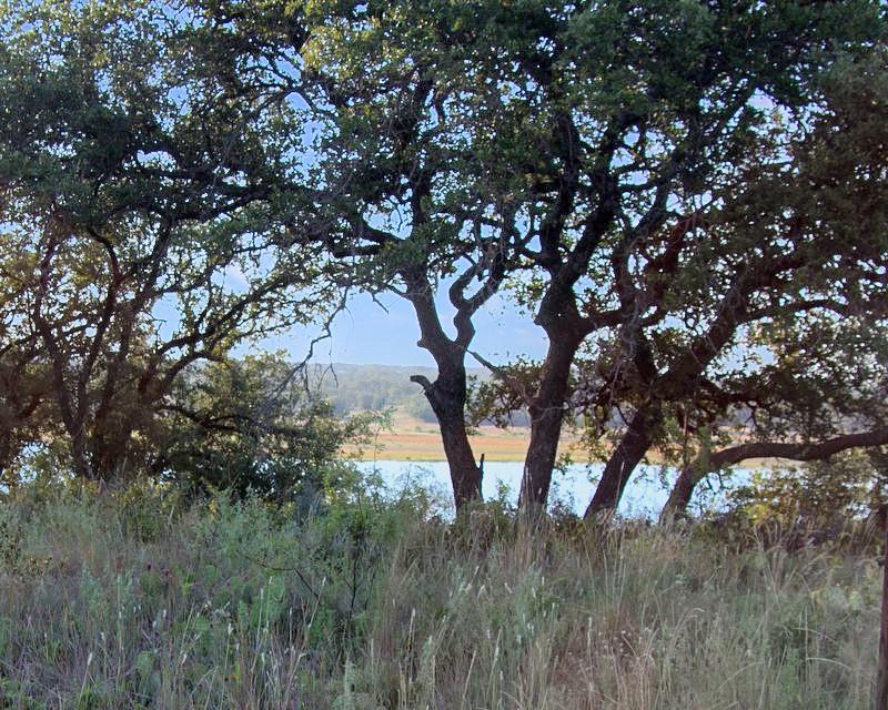 Kings Point Cove - Land