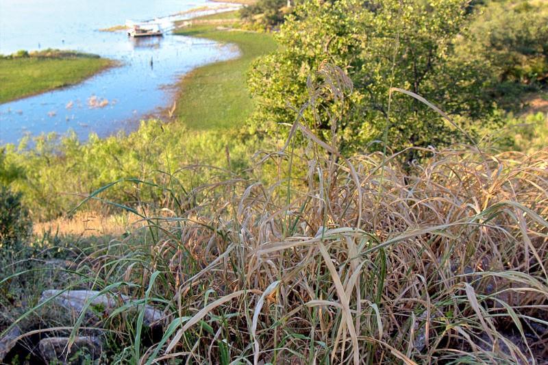 Kings Point Cove - Land