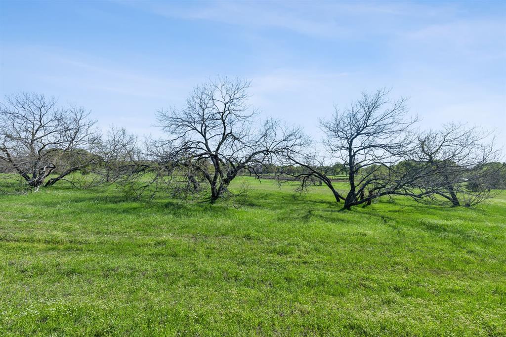 Preston Club The Classics Ph 3 - Land