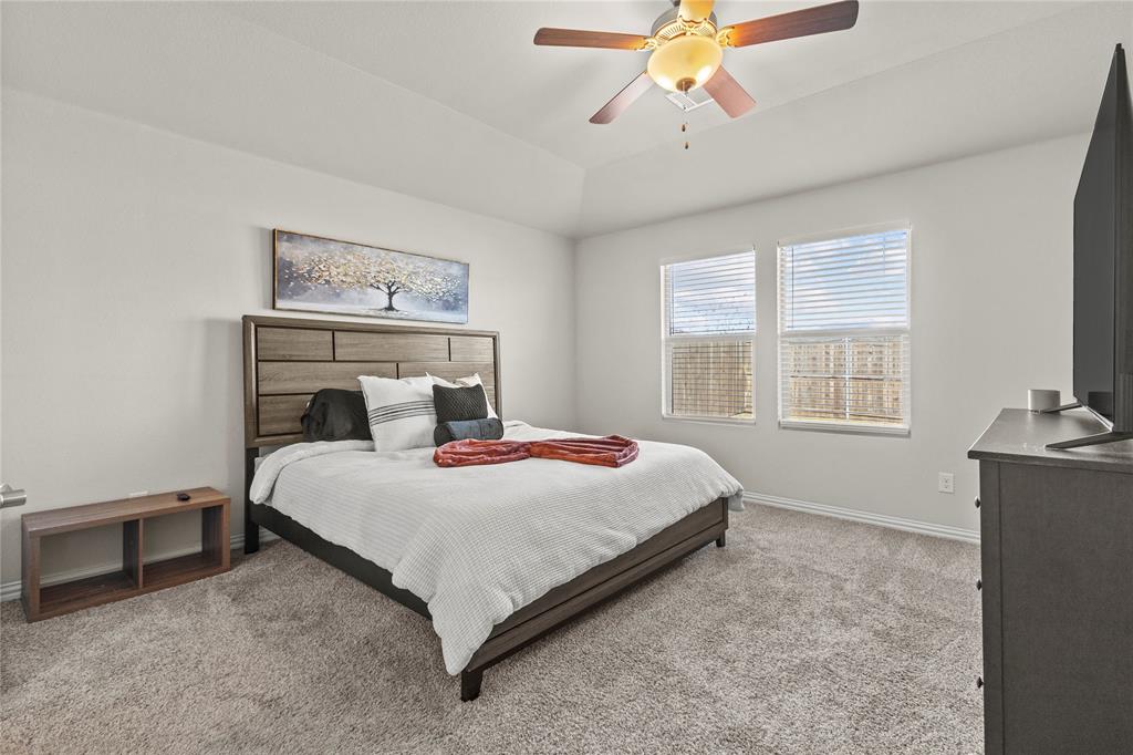 Palmilla Springs - Residential